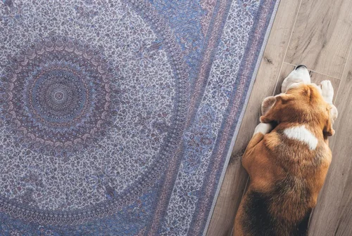 Vista 65 de GLN Rugs Traditional Collection - Alfombra de felpilla lavable a máquina, tradicional lavable, antideslizante, alfombra de felpilla de pelo corto
