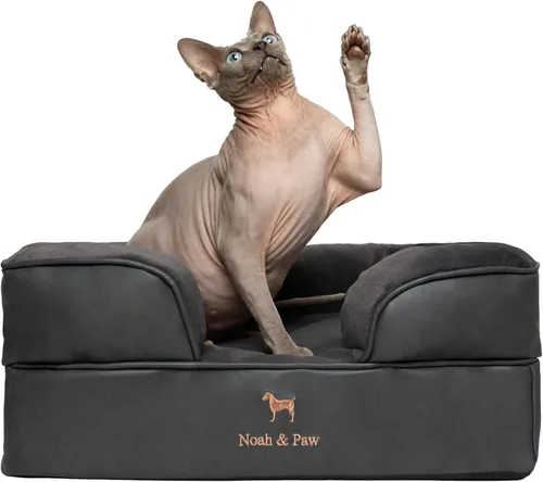 Vista 12 de NOAH & PAW Cama para perros pequeños, 20 x 15 x 8 pulgadas, cama para gatos de interior, espuma viscoelástica ortopédica de cáscara de huevo
