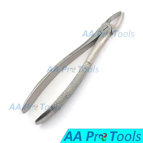 Vista 2 de AA PRO Dental Superior Anterior APICAL FÓRCEP A+Calidad