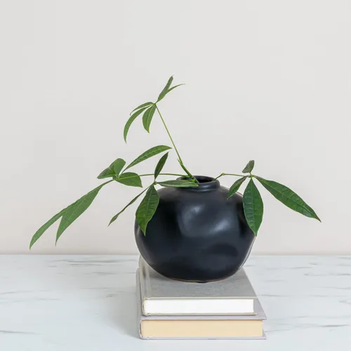 Vista 6 de Creative Co-Op Jarrón de terracota con forma orgánica pellizcada, negro mate