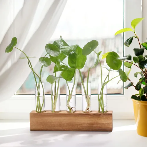 Vista 3 de Estaciones de propagación YIBOT, terrario de plantas con soporte de madera, regalos de jardinería de cumpleaños para mujeres, madres amantes