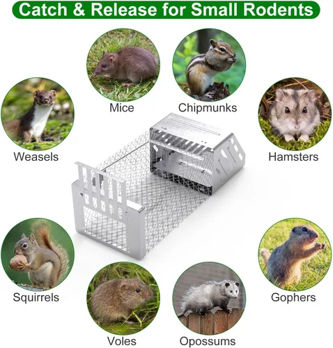 Vista 3 de Trampa humana para ratas, jaula automática continua para ratones, jaula de trampa de animales vivos de una sola puerta para interiores y exteriores
