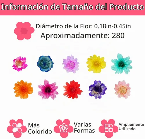 Vista 2 de 300 Pcs Mini Dried Flowers for Resin,Pressed Natural Flowers for Crafts