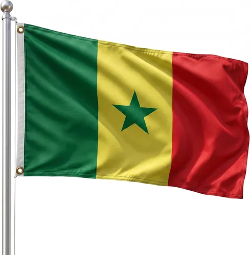 Vista 99 de DMSE - Bandera nacional beninesa beninesa de la República de África Occidental, 2 x 3 pies, 100 % poliéster, 100 % poliéster, resistente a los rayos