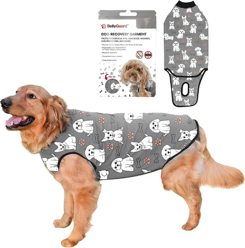 Vista 22 de Traje de Recuperación Quirúrgica BellyGuard para Perros, Mameluco para Perros para Cuidado Post-Operatorio, Ropa de Recuperación para Perros Hembra