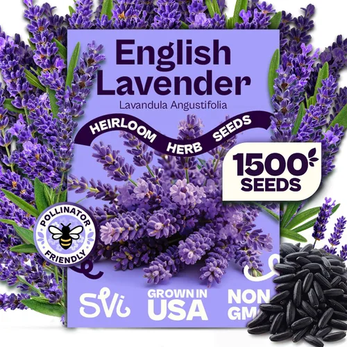 Vista 27 de SVI 2000 semillas de albahaca genovesa (Ocimum basilicum) - Paquetes de semillas de albahaca dulce - Semillas aromáticas de hierbas culinarias