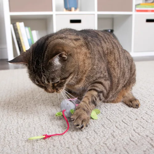 Vista 7 de SmartyKat Juguetes de peluche para gatos con forma de ratón hinchable, 3 unidades, multicolor, 3