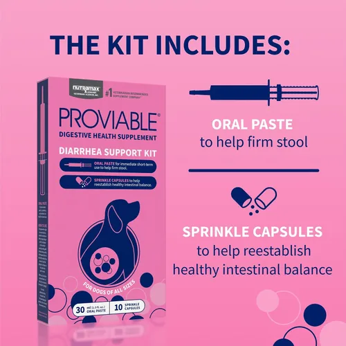 Vista 4 de Nutramax Proviable Probióticos para Perros, Kit de Apoyo para la Diarrea, Suplemento para la Salud Digestiva con Múltiples Cepas de Bacterias, Más