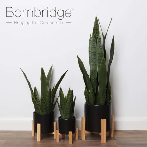Vista 4 de Planta artificial de serpiente con soporte para plantas de mediados de siglo, planta Sansevieria en maceta moderna, plantas artificiales con soporte