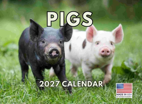 Vista 42 de Calendario mensual de pared de alpaca 2025 Fabricado en Estados Unidos