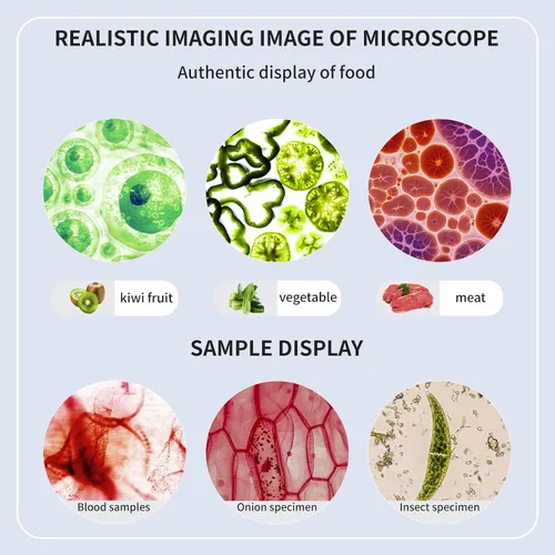 Vista 8 de Microscopio trinocular 40x-2000x Ampliación de doble capa con luces LED en la parte superior e inferior, perillas de enfoque dual gruesas
