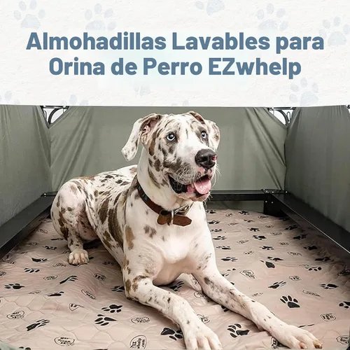 Vista 2 de EZwhelp Almohadillas reutilizables para orina de perro, lavables e impermeables para entrenamiento de orinal o partos, almohadilla para cachorros