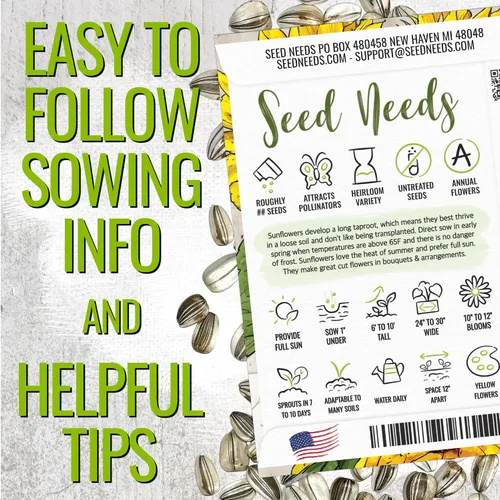 Vista 4 de Seed Needs - Semillas de girasol para plantar Mammoth Grey Stripe - Paquete a granel de 1.5 onzas