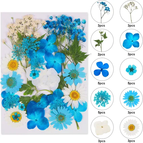 Vista 12 de Augshy Juego de flores secas prensadas reales con calcomanías transparentes de mariposa, calcomanías para álbumes de recortes, flores secas