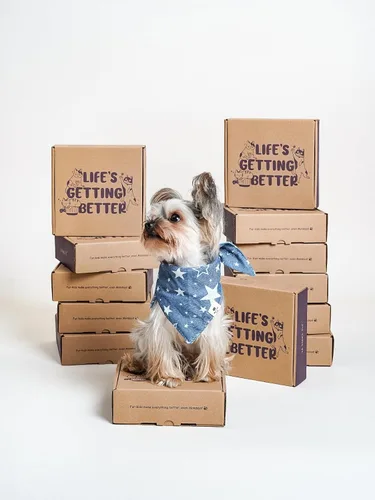 Vista 5 de Cuencos de cerámica para alimentación lenta para perros de raza pequeña, 0.5 tazas de plato de comida para perros que comen rápido, cuenco
