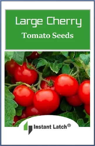 Vista 2 de 250 semillas de tomate cherry grandes Sin transgénicos Semillas frescas de jardín Semillas grandes, sin OMG, Heirloom, cierre instantáneo
