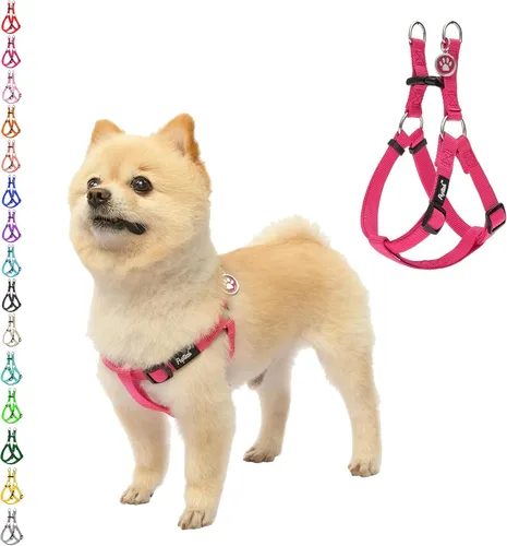 Vista 24 de Pupteck - Arnés para perros sin jalar, suave, ajustable, de nailon, talla básica, chaleco para cachorro, para caminar al aire libre con etiqueta