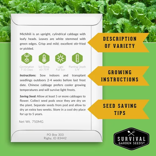 Vista 2 de Survival Garden Seeds - Semilla de col Michihili Napa/Nappa para plantar - Paquete con instrucciones para plantar y cultivar verduras Brassica