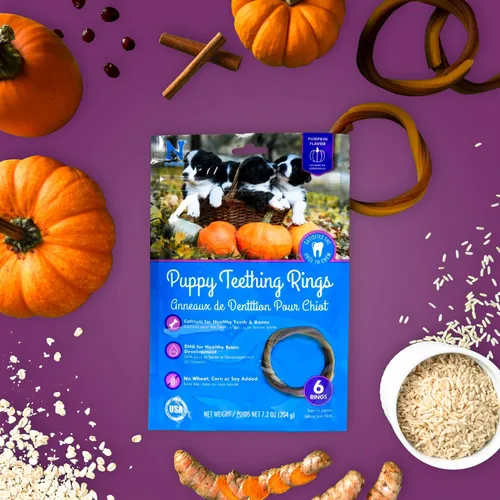 Vista 6 de N-Bone Anillo de dentición para cachorros, sabor calabaza, 7.2 onzas/(paquete de 6)
