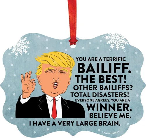 Vista 36 de Andaz Press Presidente Donald Trump Fancy Frame Recuerdo Adorno de Navidad Regalo de broma, excelente contador, 1 paquete, divertidas ideas