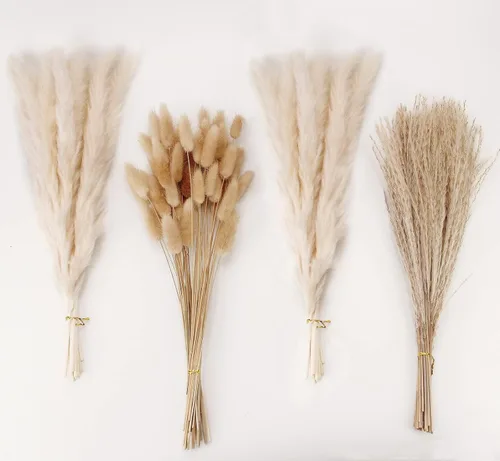 Vista 13 de 10 tallos de hierba de las pampas de 40 pulgadas de alto en color beige natural, añade un toque bohemio a tu espacio: hierba de las pampas ideal