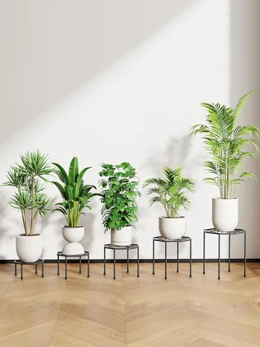 Vista 2 de Paquete de 5 soportes metálicos para plantas para interiores y exteriores, soporte de hierro antioxidante, estante resistente para macetas