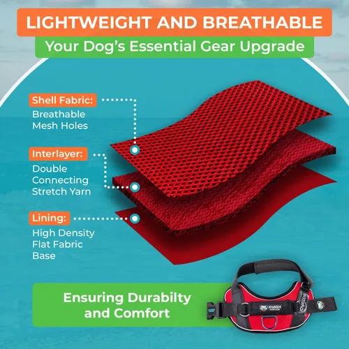 Vista 10 de Joyride Harness Chaleco de malla de verano – Arnés para perro 2.0 sin tirones – Chaleco ajustable y transpirable – Etiqueta de nombre personalizada