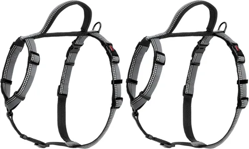 Vista 5 de Halti Arnés para pasear perros Talla XS, Negro Ideal para paseos de Negro/Gris