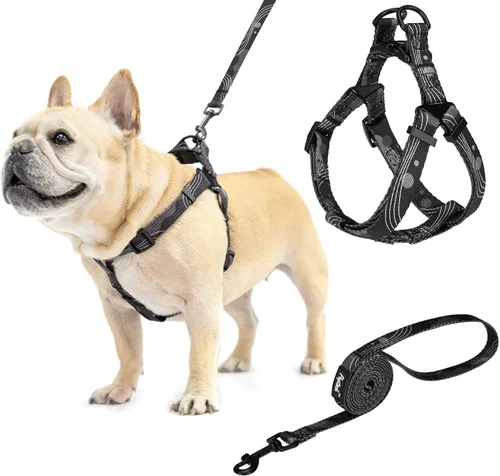 Vista 11 de Pupteck - Arnés para perros sin jalar, suave, ajustable, de nailon, talla básica, chaleco para cachorro, para caminar al aire libre con etiqueta