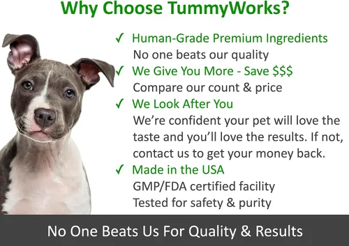Vista 6 de TummyWorks Probióticos para perros. 120 probióticos masticables suaves para salud digestiva, intestino, inmunidad, energía, alergias, piel y pelaje.