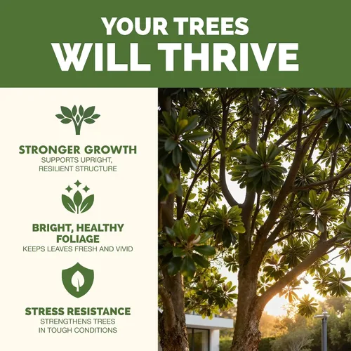 Vista 2 de Fertilizante para árboles: alimento líquido para plantas para raíces más fuertes, follaje más completo y crecimiento saludable de los árboles, 8