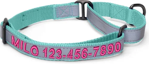 Vista 15 de Pawtitas Collar de perro Martingala personalizado reflectante reflectante bordado nombre personalizado número de teléfono ajustable para cachorros