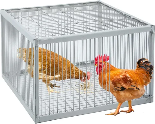 Vista 12 de Trampa para palomas con diseño a prueba de fugas, trampa para pájaros con entrada unidireccional, jaula para pollos y aves para palomas, portátil