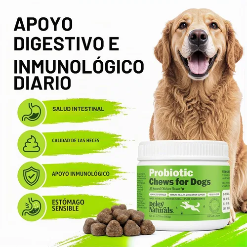 Vista 2 de Deley Naturals Probióticos masticables para perros – 4 mil millones de UFC probióticos para perros, prebióticos, enzimas para la digestión
