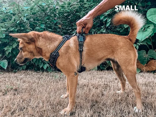 Vista 7 de Tuff Pupper Arnés para perro sin tirones, chaleco resistente para mascotas, clips para correa delantera y trasera, mango de seguridad fuerte