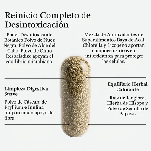 Vista 5 de Detoxify Advanced Cleanse - Fórmula herbaria de semillas de papaya de nogal negro, apoyo para la salud intestinal con fibra de aloe Chlorella