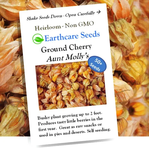 Vista 5 de Ground Cherry Aunt Molly's 50 Seeds
