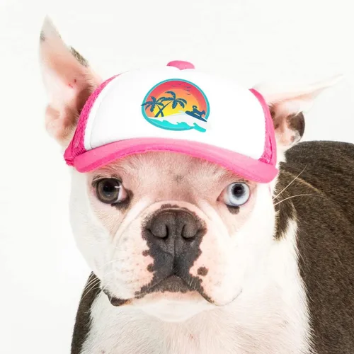 Vista 49 de Sunset Collection, sombreros de camionero de PupLid para perros (XXS) Protección solar elegante de alta calidad para el perro moderno, ajustable