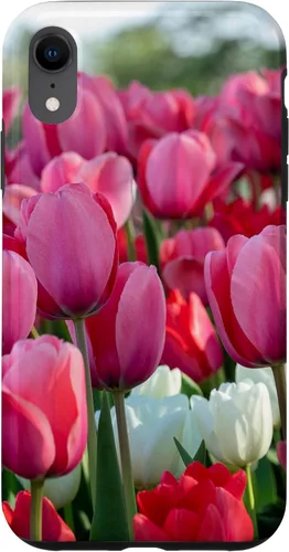 Vista 24 de Funda para iPhone 11 Pro Max Tulip Flower