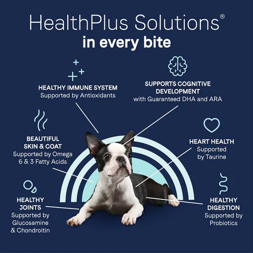Vista 7 de CANIDAE Pure Puppy - Comida seca para perros, receta de salmón y avena, con galletas de salmón y batata
