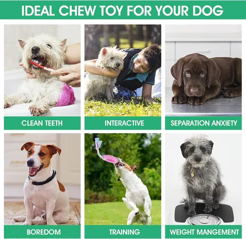 Vista 7 de Cobee Juguetes masticables de dentición para cachorros, 4 piezas de cuerdas interactivas de algodón para perros pequeños, juguetes de goma