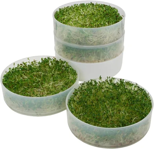 Vista 3 de KITCHEN CROP VKP Marcas Germinador de 4 Bandejas