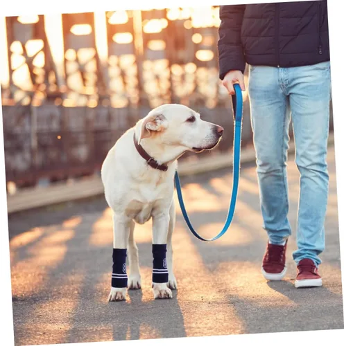 Vista 6 de Kisangel 4 fundas de punto para coderas de perro, transpirables, calentadores de piernas para perros, protectores elásticos para articulaciones