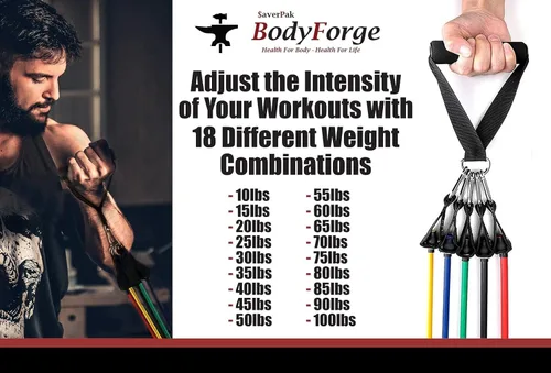 Vista 3 de BodyForge - Juego de bandas de resistencia y bandas de tubo