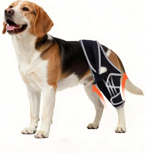 Vista 11 de Rodillera para perro para pierna trasera desgarrada del ACL, para Negro