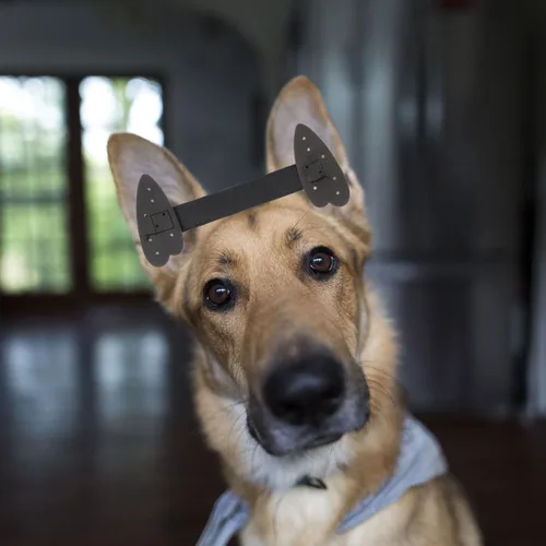 Vista 7 de ORFOFE - Kit de publicación de orejas de perro, cinta para orejas de perro y soporte para cachorros, cinta de pie con calcomanías