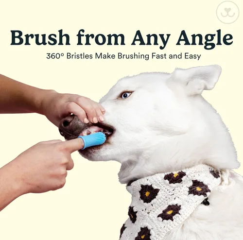 Vista 4 de Jasper Cepillo de dientes para perros, kit de cepillado de dientes de mascotas de 360 grados, cepillo de dientes para gatos, kit de cuidado dental