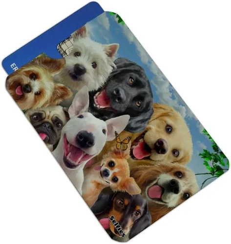 Vista 2 de GRAPHICS & MORE Juego de 4 fundas para tarjetas de crédito para perros Selfie Lab Golden Retriever Dachshund Westie Pug Terrier para tarjetas