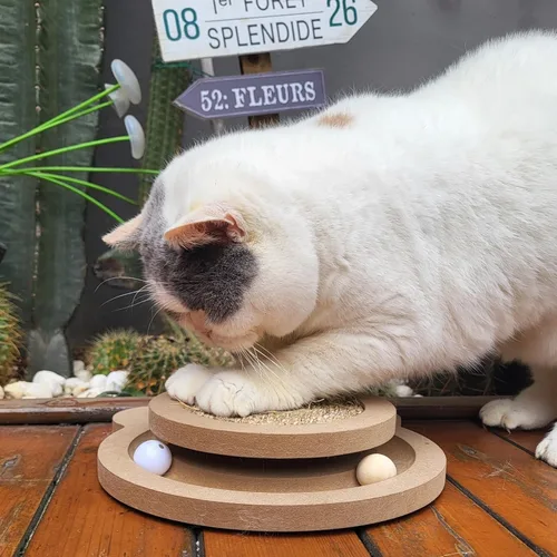 Vista 2 de Lindo rascador de gato, juguetes rascadores interactivos para gatos de interior y gatito natural de sisal para gatos, pelotas de pista, juguete