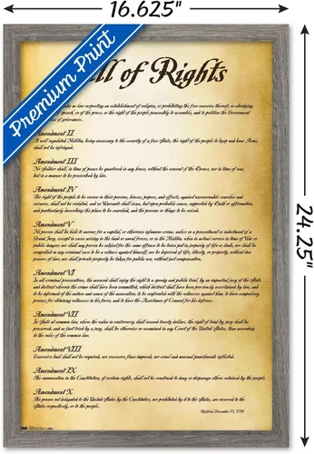 Vista 3 de Trends International The United States of America - Póster de pared de Carta de Derechos, 14.725 x 22.375 pulgadas, versión enmarcada de madera